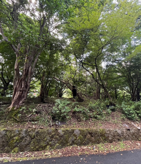 山中湖村土地の画像