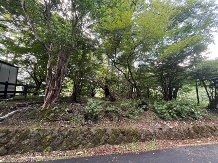 山中湖村 土地の画像