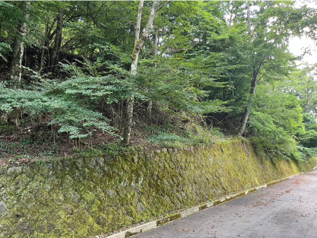 山中湖村 土地の画像